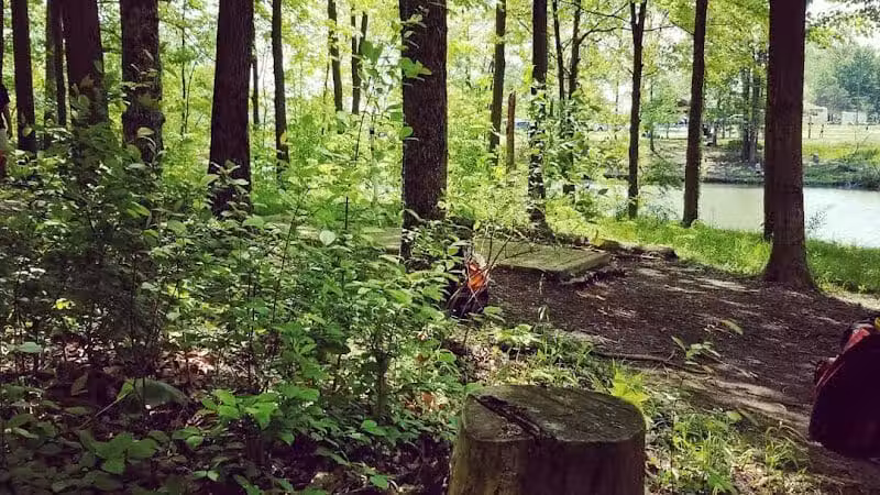The Players Course at Alum Creek - Galena, OH