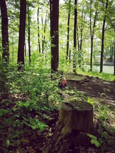 The Players Course at Alum Creek - Galena, OH