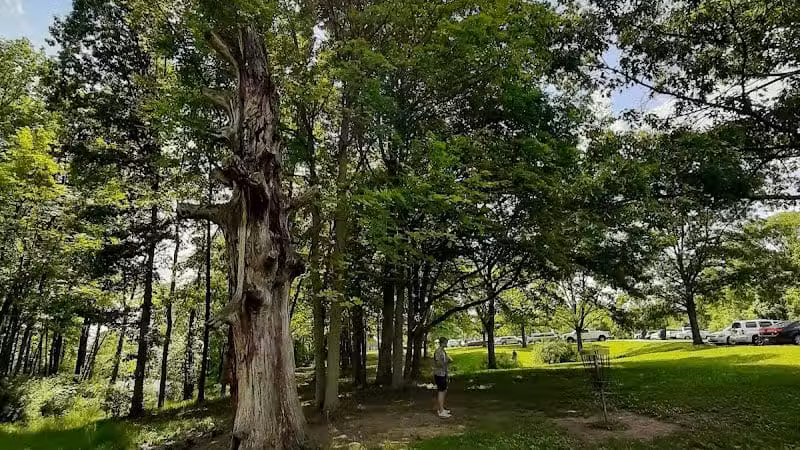 The Players Course at Alum Creek - Galena, OH