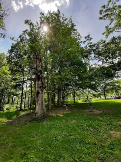 The Players Course at Alum Creek - Galena, OH