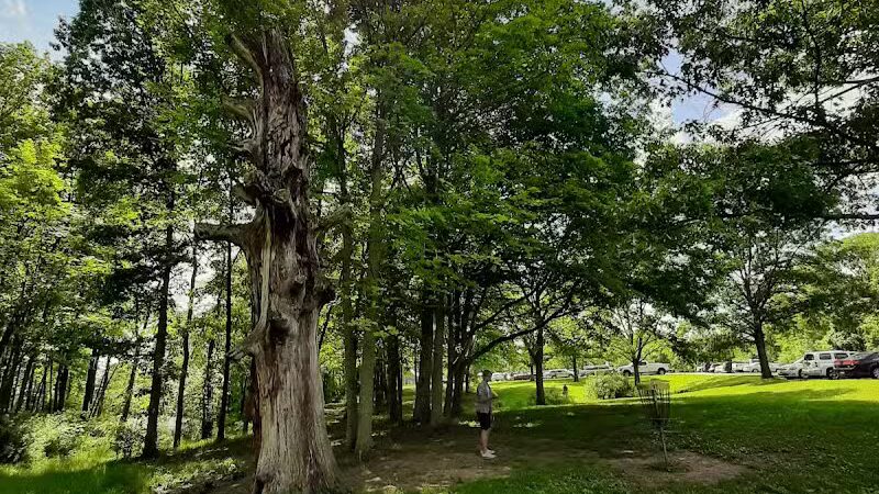 The Players Course at Alum Creek - Galena, OH