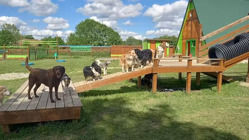 Adventure Mountain for Dogs and Boarding - Galion, OH