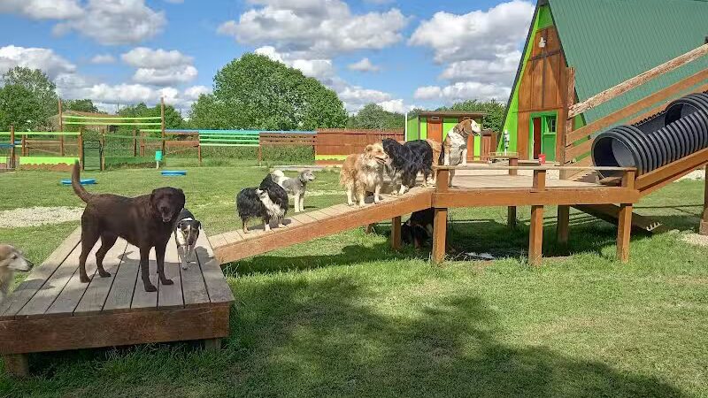 Adventure Mountain for Dogs and Boarding - Galion, OH