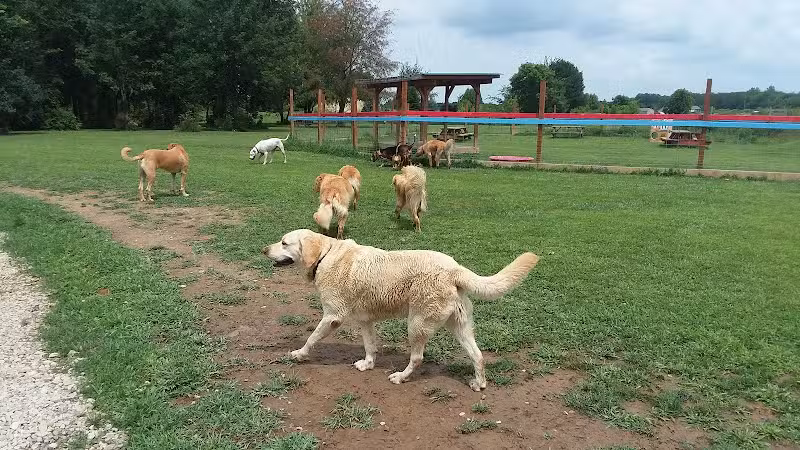 Adventure Mountain for Dogs and Boarding - Galion, OH