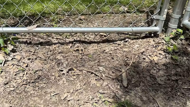 Galion city dog park - Galion, OH