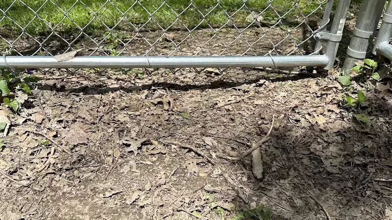 Galion city dog park - Galion, OH