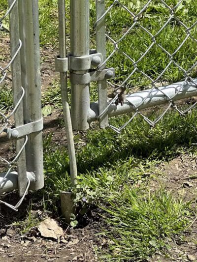 Galion city dog park - Galion, OH