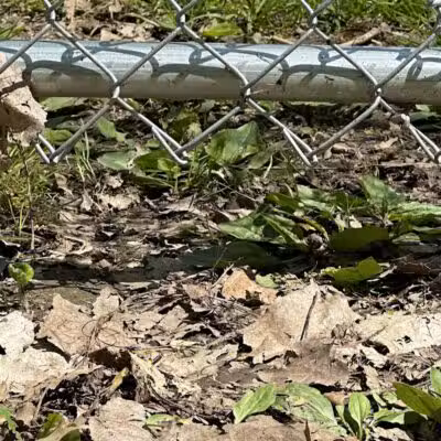 Galion city dog park - Galion, OH