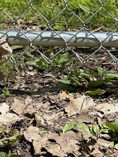 Galion city dog park - Galion, OH