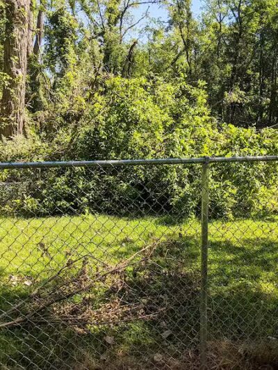 Galion city dog park - Galion, OH