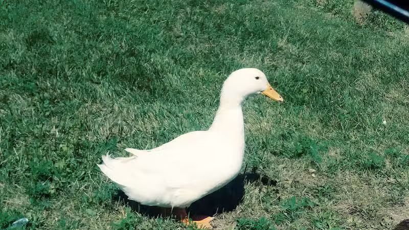 Clover Park - Galloway, OH