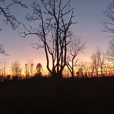 Clover Park - Galloway, OH