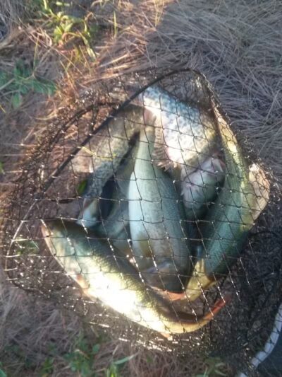 Clover Park - Galloway, OH