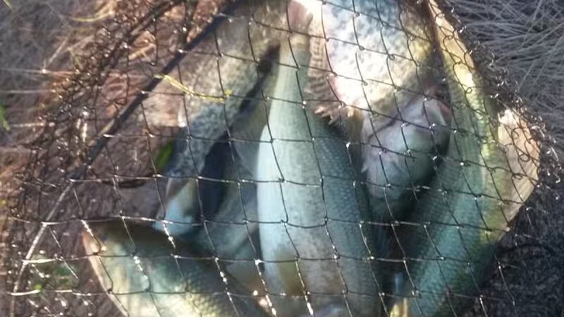 Clover Park - Galloway, OH