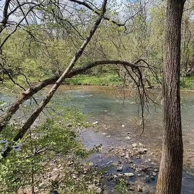Darby Creek Park (Control) - Galloway, OH