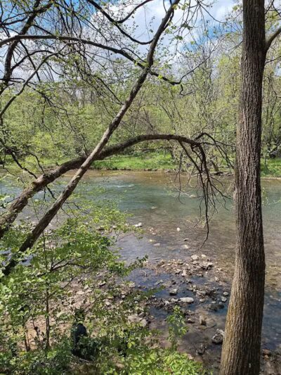 Darby Creek Park (Control) - Galloway, OH
