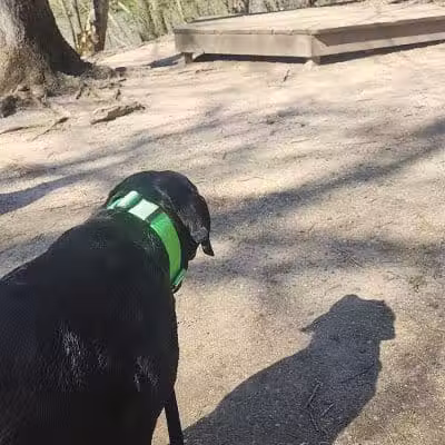 Darby Creek Park (Control) - Galloway, OH