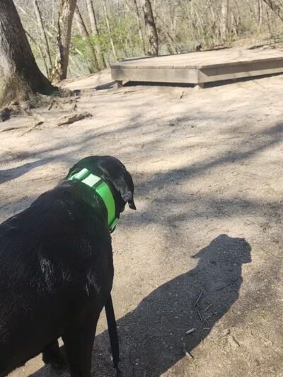Darby Creek Park (Control) - Galloway, OH