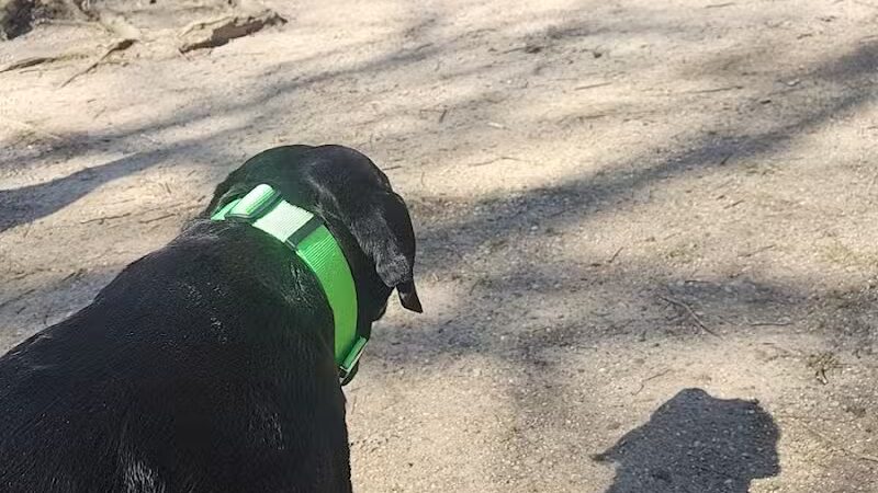 Darby Creek Park (Control) - Galloway, OH