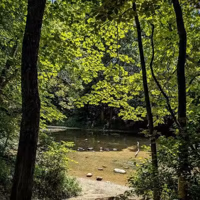 Darby Creek Park (Control) - Galloway, OH