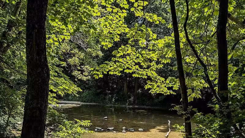Darby Creek Park (Control) - Galloway, OH