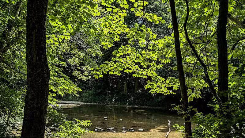 Darby Creek Park (Control) - Galloway, OH