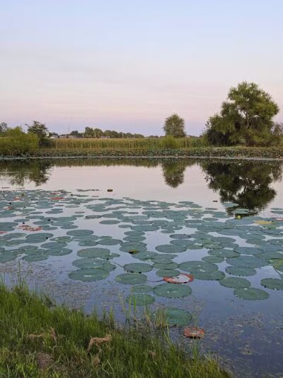 Galloway Sports Complex - Galloway, OH
