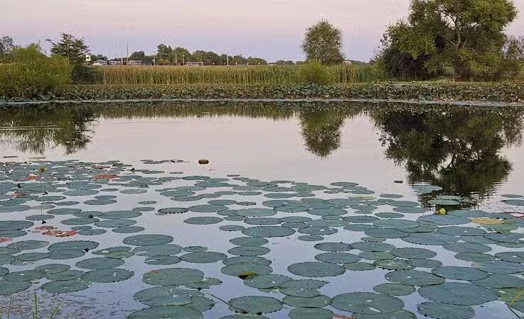 Galloway Sports Complex - Galloway, OH