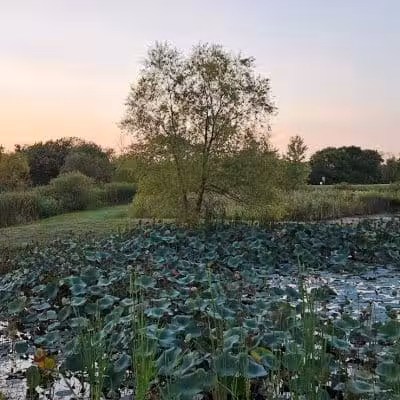 Galloway Sports Complex - Galloway, OH
