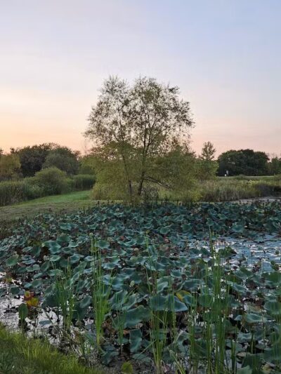 Galloway Sports Complex - Galloway, OH