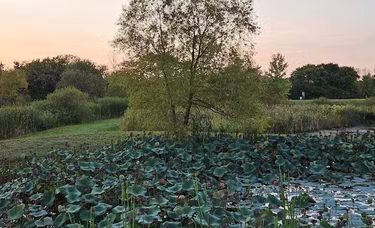 Galloway Sports Complex - Galloway, OH