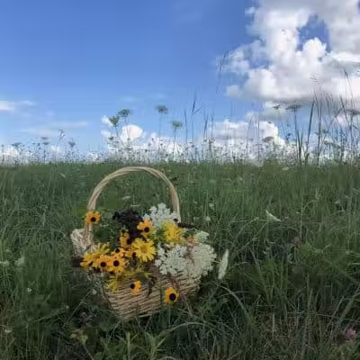 Galloway Sports Complex - Galloway, OH