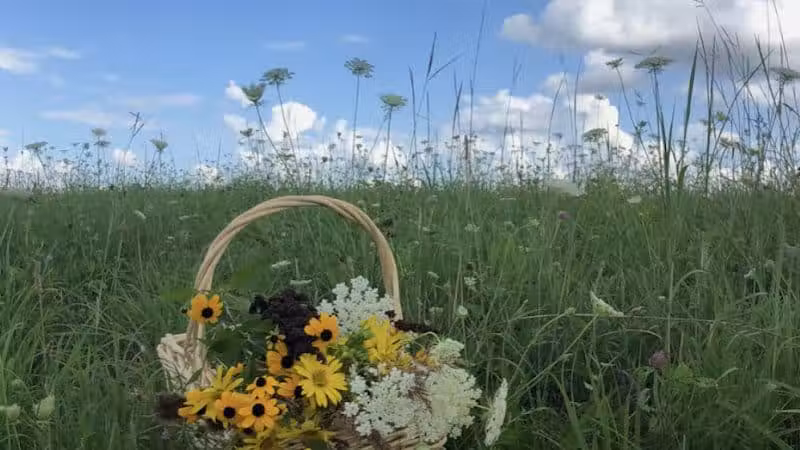 Galloway Sports Complex - Galloway, OH