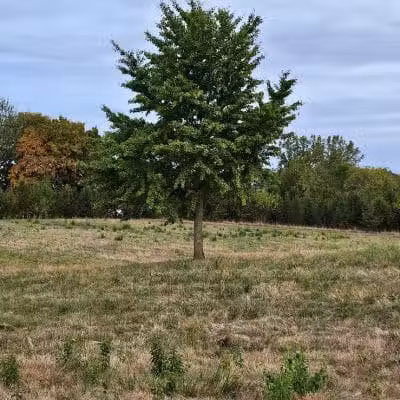 Greene Countrie Park - Galloway, OH