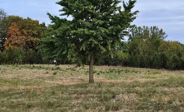 Greene Countrie Park - Galloway, OH