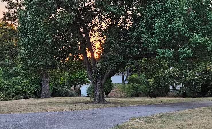 Greene Countrie Park - Galloway, OH