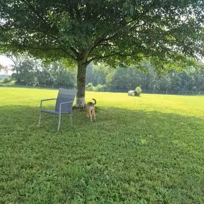Gambier Dog Park - Gambier, OH