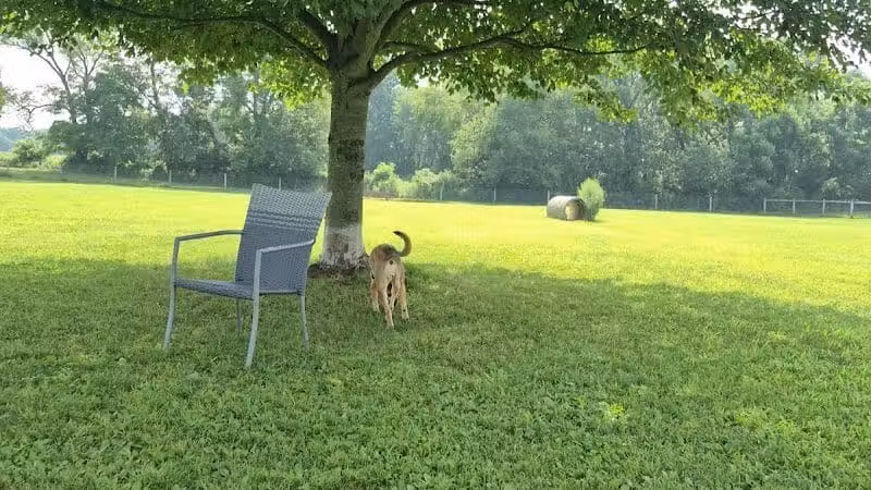 Gambier Dog Park - Gambier, OH