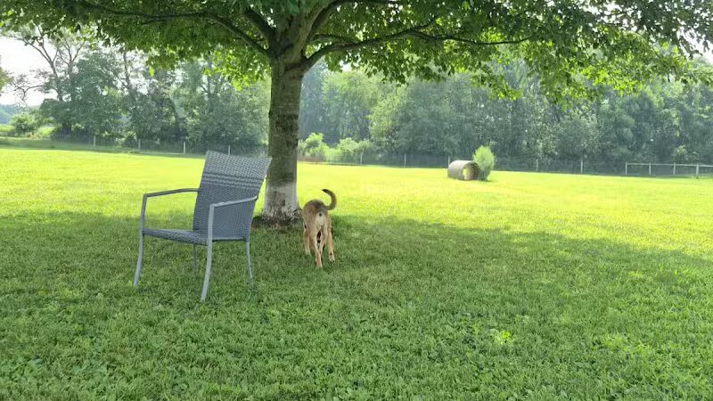 Gambier Dog Park - Gambier, OH