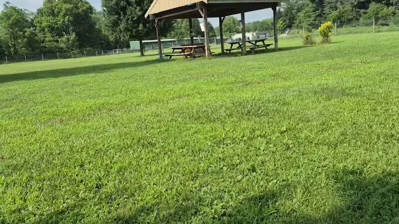 Gambier Dog Park - Gambier, OH