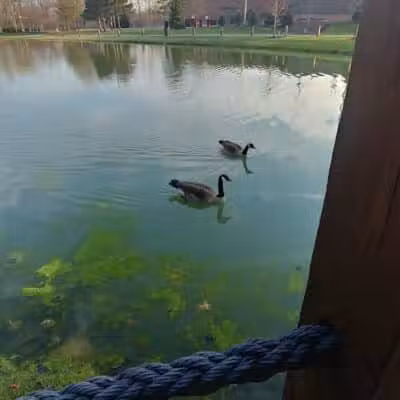 Bacci Park - Garfield Heights, OH