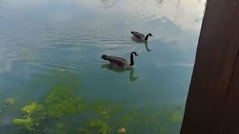 Bacci Park - Garfield Heights, OH