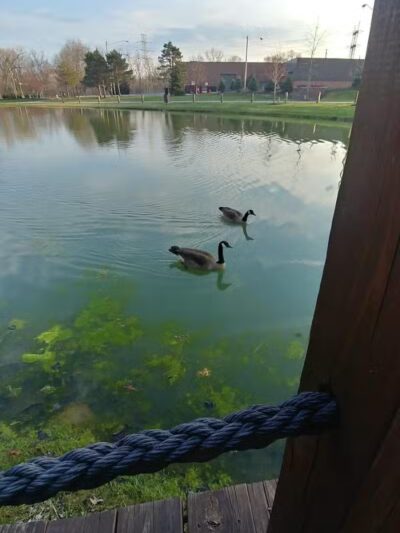 Bacci Park - Garfield Heights, OH