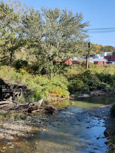 Bacci Park - Garfield Heights, OH