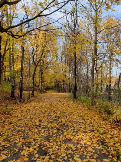 Garfield Park Red Oak Shelter - Garfield Heights, OH