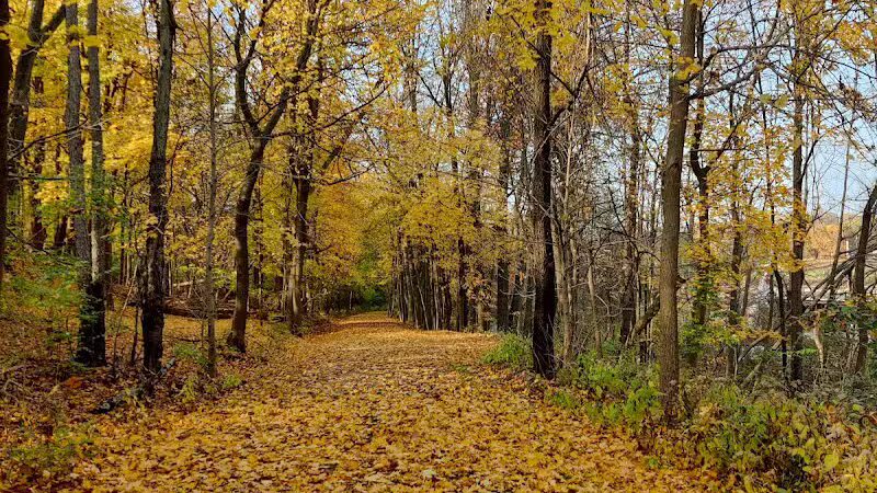 Garfield Park Red Oak Shelter - Garfield Heights, OH