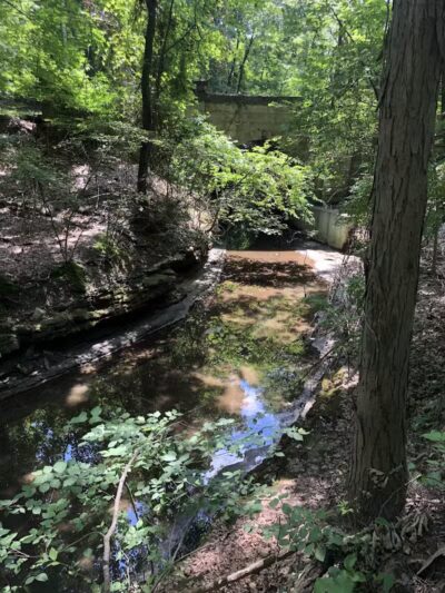 Garfield Park Red Oak Shelter - Garfield Heights, OH
