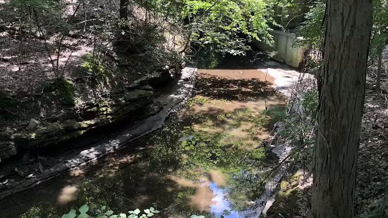 Garfield Park Red Oak Shelter - Garfield Heights, OH