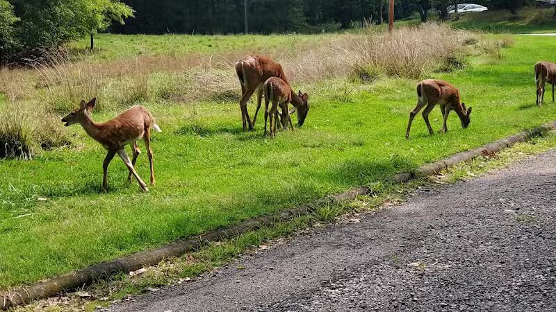 Garfield Park Red Oak Shelter - Garfield Heights, OH