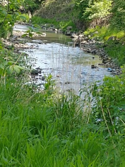 Garfield Park Red Oak Shelter - Garfield Heights, OH